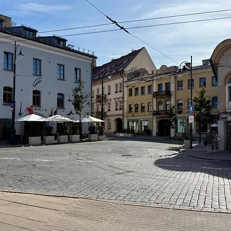 아파트 Pylimo50 Cozy Old Town *